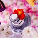 El Nabil ou l&rsquo;art de la parfumerie de luxe à prix accessible